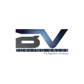 logo Burling Valve